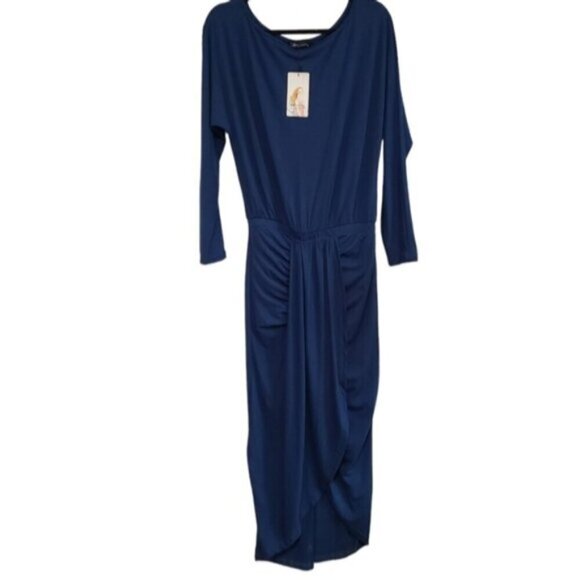 New Women's Pretty Garden Dress Blue Size Medium Long Sleeve - Picture 4 of 13